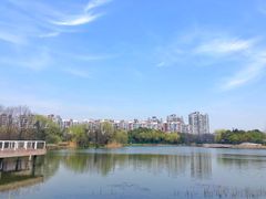 -新江湾城公园