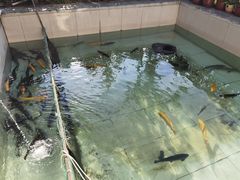 -钰田大院·怀柔地道农家菜·烤虹鳟鱼(雁栖湖店)