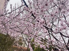 -碑林公园