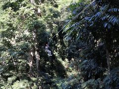 -西双版纳原始森林公园