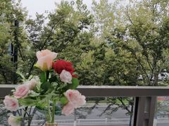 -宝荣鱼馆·临湖之宴(千岛湖店)