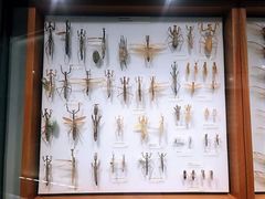 -墨尔本博物馆(Melbourne Museum)