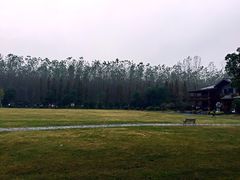 滨湖湿地公园-合肥滨湖国家森林公园