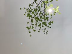 -Onirii Coffee(长乐路店)