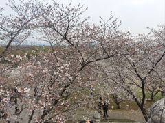 -苏州上方山国家森林公园