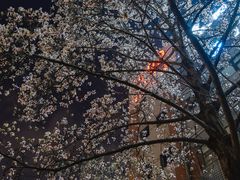 -南京晨光1865创意产业园