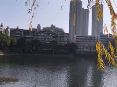 -宝岛公园