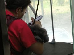 -久久宠物(河东万达店)