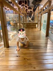 -鲁比猴非洲探索部落(喜盈门店)