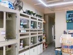 -唐小姐の私宠·宠物洗护美容·撸猫馆·购宠(周浦万达旗舰店)