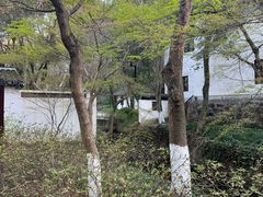 -狼山风景名胜区