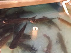 -侠成水上农庄(工业大道店)