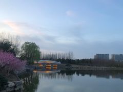 -大兴滨河森林公园