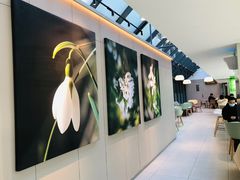 -奈雪的茶(赛格店)