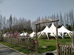 -前小桔亲子创意农场·草莓采摘·露营烧烤