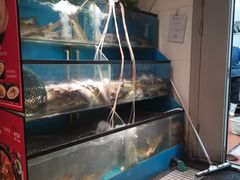 水产区-老板恋上鱼(印象城店)