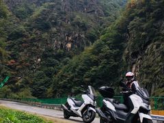 -牛背梁国家森林公园