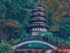 -深圳国际园林花卉博览园