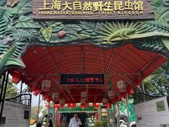 -上海大自然野生昆虫馆(东方明珠·爬宠昆虫探索中心)