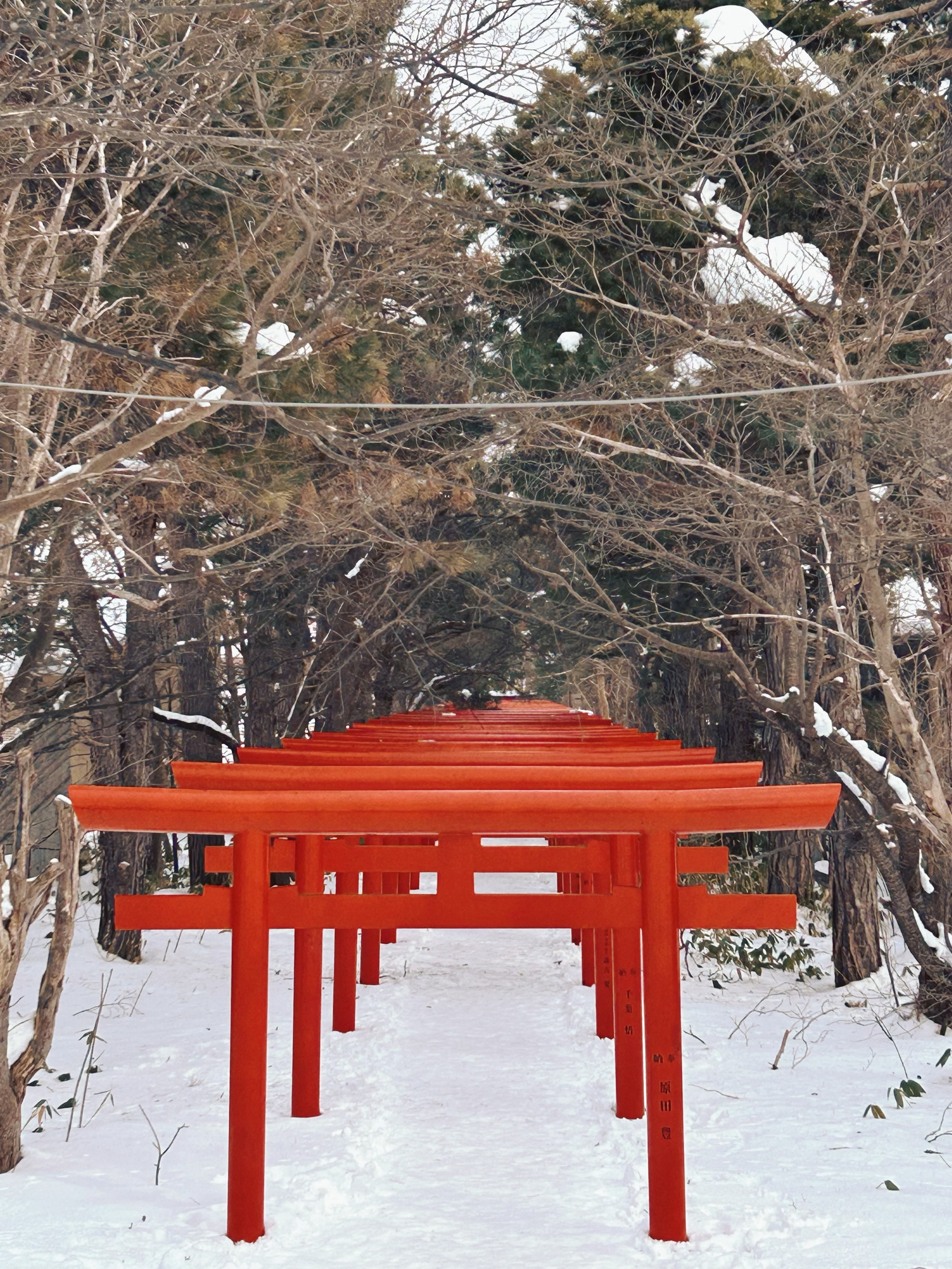 丰川稻荷札幌别院图片