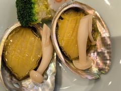 -黑松白鹿(新活馆店)
