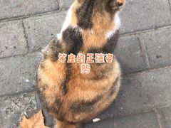 -二扁私房面馆(崂山路店)