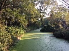 -金孔雀温泉旅游度假村