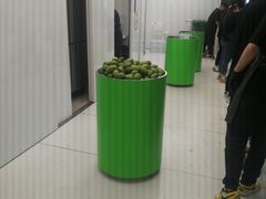 -introlemons(北京西单更新场店)