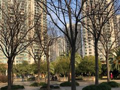 -苏州河梦清园环保主题公园