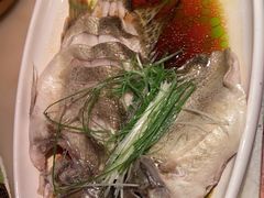 葱油大黄鱼-桂满陇-十里风荷(合生汇店)