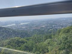 -紫金山山顶公园