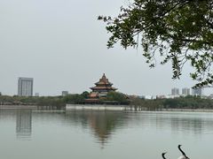 -顺峰山公园