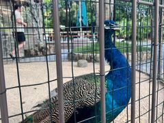 -珠海海泉湾神秘岛亲子乐园