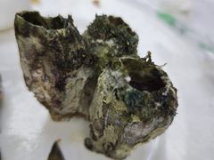 -阿军排档·烧烤