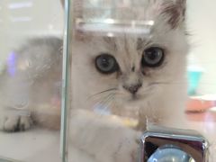 -龟与熊猫宠物公园(南坪店)