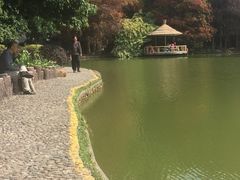 -四海公园(南山区)