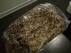 -好利来(新建北路店)