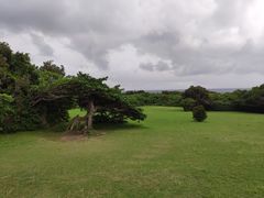 -鹅銮鼻公园