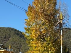 -泸沽湖国家级风景名胜区走婚桥