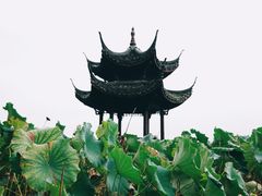 -西湖游船