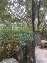 点击看大图 -金芙美月子中心(财富别墅店)