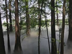 -东湖落雁景区