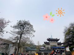 -鸡鸣赐茶(鸡鸣寺路店)