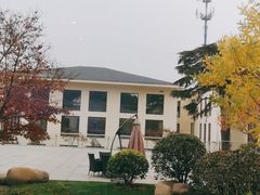 -上海市保健医疗中心