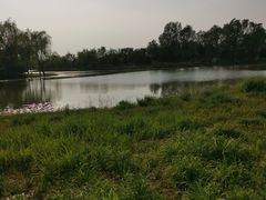 -东郊湿地公园