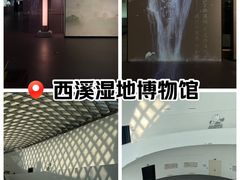 -中国湿地博物馆