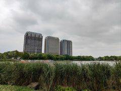 -南翔镇银翔湖公园