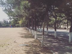 -东北大学(南湖校区)