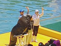 -秦皇岛乐岛海洋王国