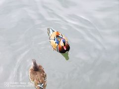 -北海公园